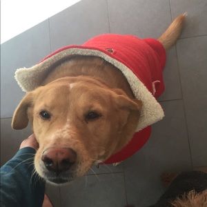 Meet your Posher, Sam